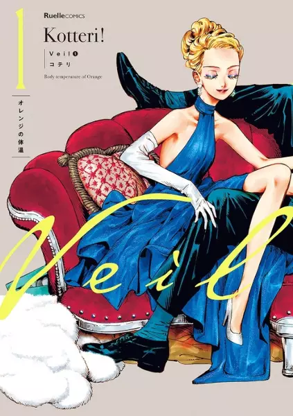 Cover for Veil