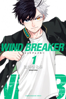 Windbreaker anime