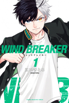 Capa de Wind Breaker