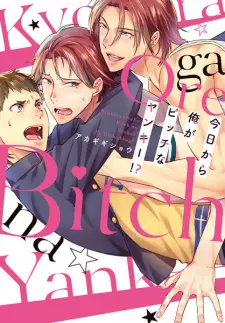 Kyou kara Ore ga Bitch na Yankee!?