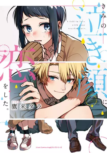 I Fell in Love With Your Tearful Face. cover