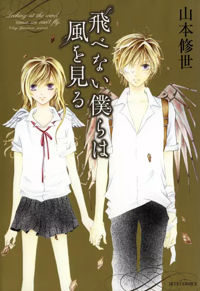 Cover of Looking at the Wind 'Cause We Can't Fly