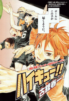 Volleyball manga - Interest Stacks 