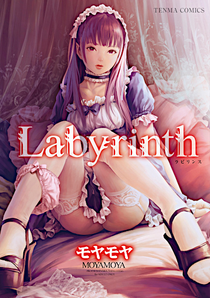 Labyrinth cover