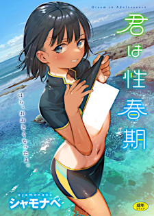 Kimi wa Seishunki