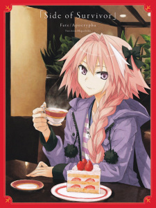 Fate/Apocrypha - Side of Survivor - | Novel - Characters & Staff ...