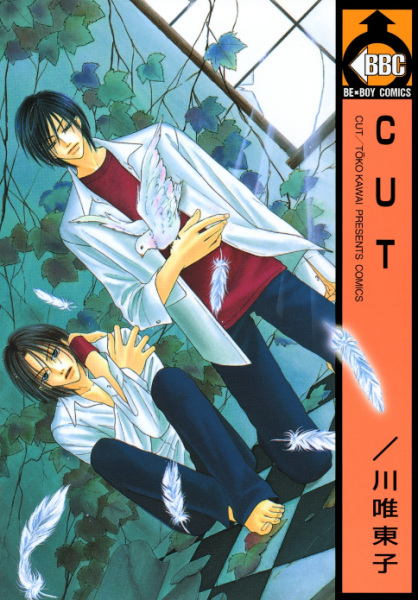 Cover for CUT