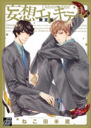 Cover for Mousou Elektel