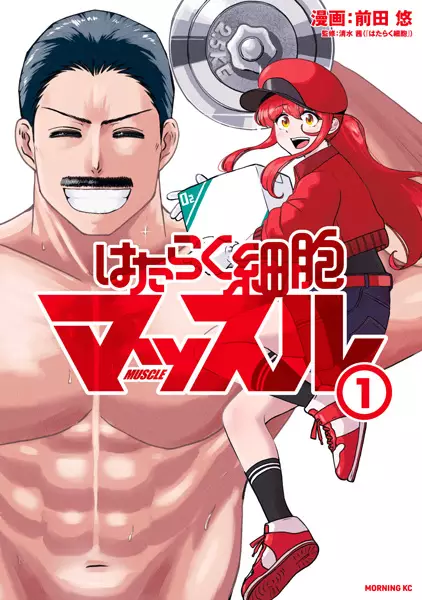 Hataraku Saibou Muscle
