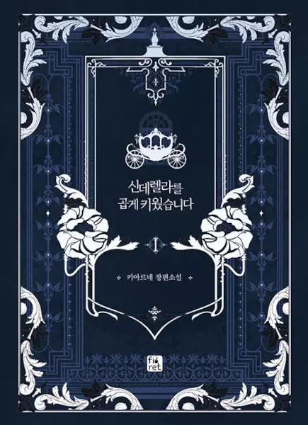A Wicked Tale of Cinderella's Stepmom