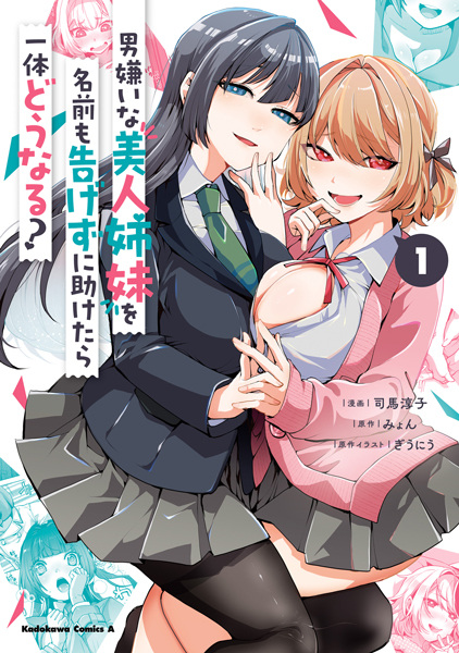 Otokogirai na Bijin Shimai wo Namae mo Tsugezu ni Tasuketara Ittai Dou Naru? cover