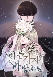 Like Wind on a Dry Branch