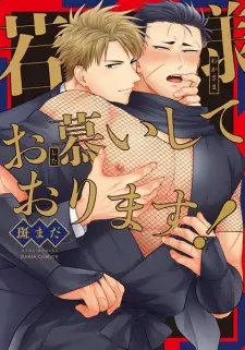 Wakasama Oshitai Shiteorimasu!