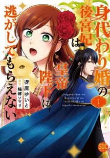 Migawarikon no Koukyuuhi wa Koutei Heika ni Nigashite Moraenai