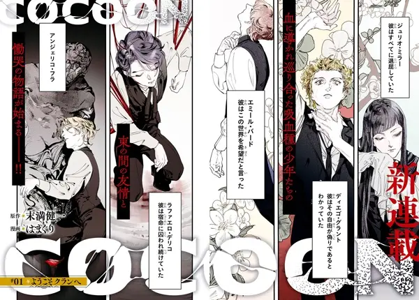 Cocoon