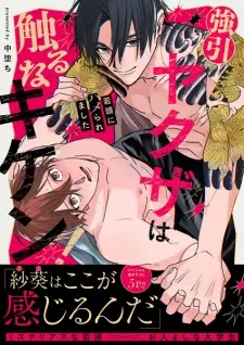 Gouin Yakuza wa Sawaru na Kiken!: Wakagashira ni Hameraremashita