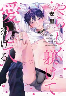 Yarashiku Shitsukete Aishite Ageru: Dom/Sub Universe