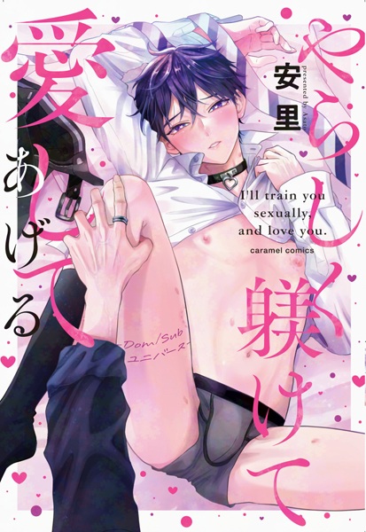 Yarashiku Shitsukete Aishite Ageru: Dom/Sub Universe