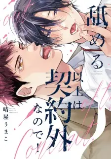 Nameru Ijou wa Keiyakugai nanode!