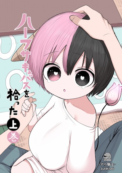 Half Succubus wo Hirotta cover
