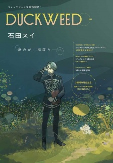 Duckweed