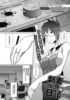 Imagen de Niīzuma Kaihatsu Nikki