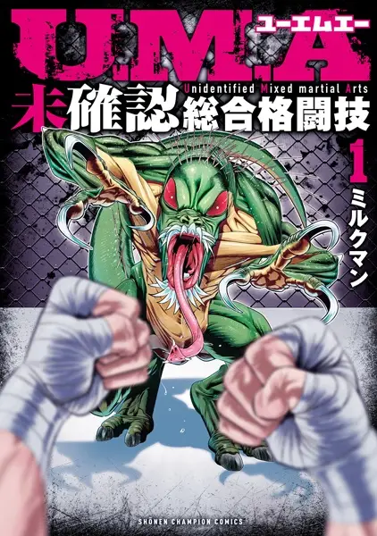 Unidentified Mixed Martial Arts