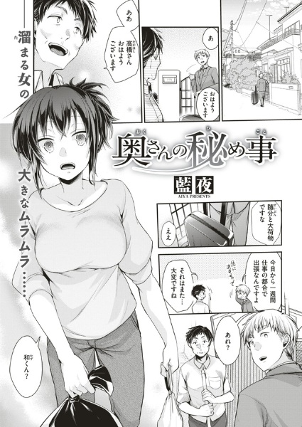Housewife's Secret cover