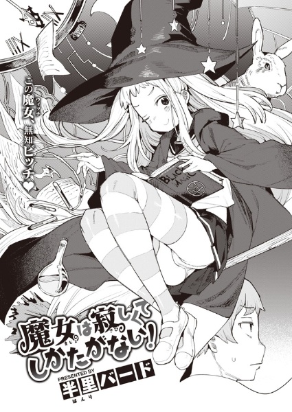 The Lonely Witch is at Her Wit's End! cover