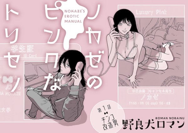 Poster de Nokaze no Pink na Torisetsu