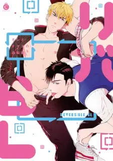 Reversible BL
