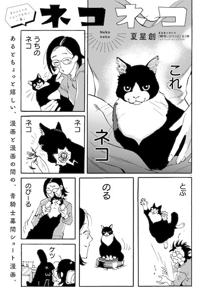 Neko Neko cover