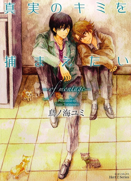 Shinjitsu no Kimi wo Tsukamaetai: Of Montage