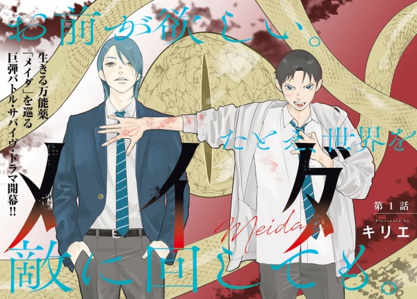 Meida cover