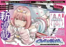 Strayboy Overkill