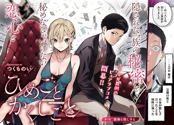 Himegoto Kakushigoto cover
