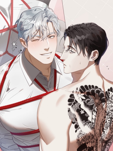 The More I Look at Him, the More I Want to See Him cover