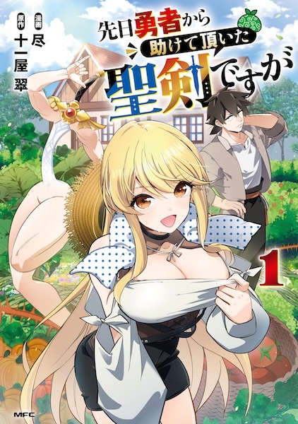 Senjitsu Yuusha kara Tasukete Itadaita Seiken desu ga cover