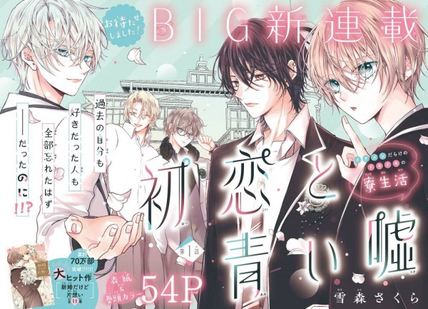 Hatsukoi to Aoi Uso cover