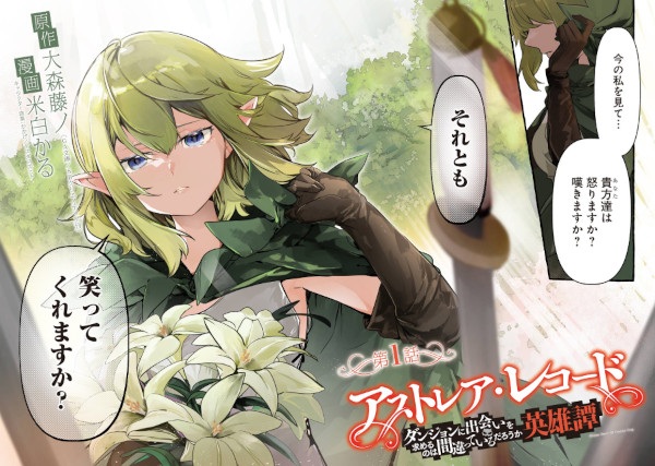 Astrea Record: Dungeon ni Deai wo Motomeru no wa Machigatteiru Darou ka - Eiyuutan cover