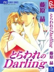 Poster de Toraware no Darling