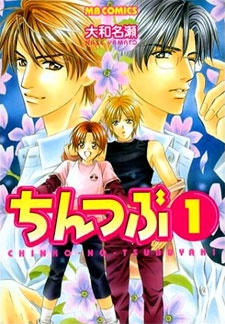 Imagen de Chintsubu