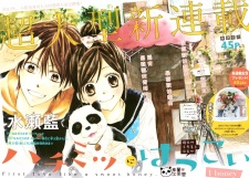 Hachimitsu ni Hatsukoi