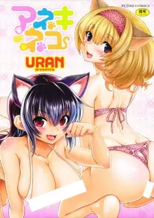 Aneki Neko