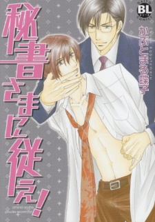 Imagen de Hishosama ni Shitagae!