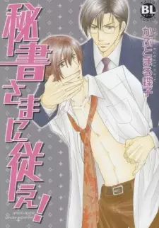 Hishosama ni Shitagae!