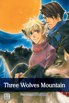 Imagen de Three Wolves Mountain