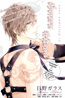 Imagen de Oboreru Hitomi