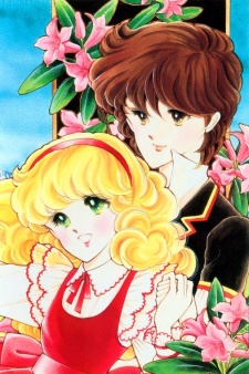 Imagen de Alpen Rose