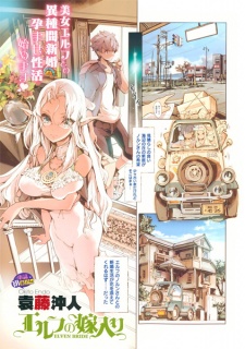 Imagen de Elf no Yomeiri